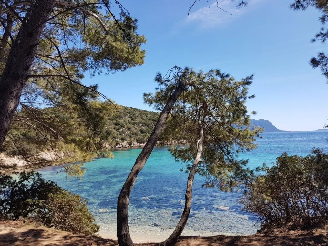 🌺 Frauenkraftreise nach Sardinien🌺
