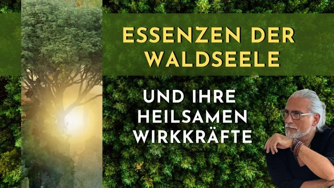 live Wald-Seminar in Filderstadt
