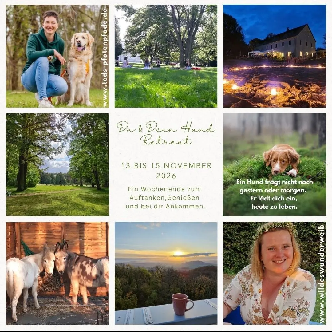 Retreat ✨Du und Dein Hund✨