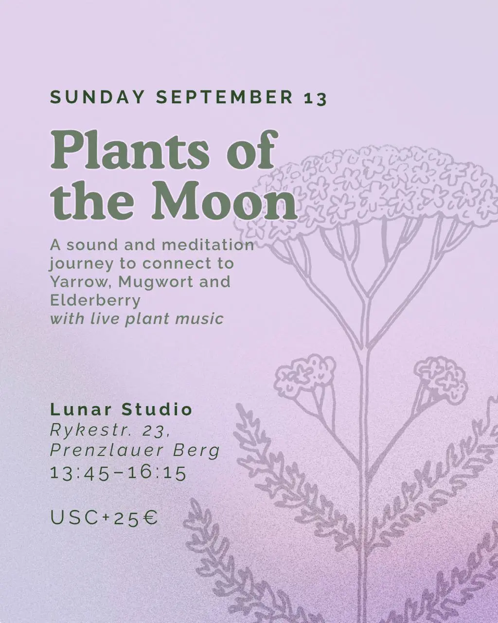 Plants of the Moon 🌕✨