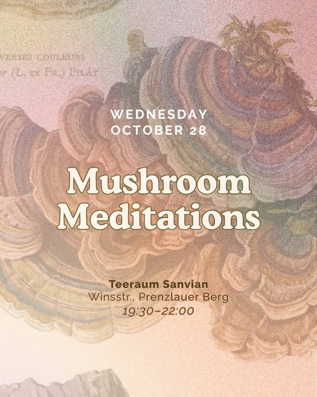 The 6th edition of Mushroom Meditations at Teeraum Sanvian