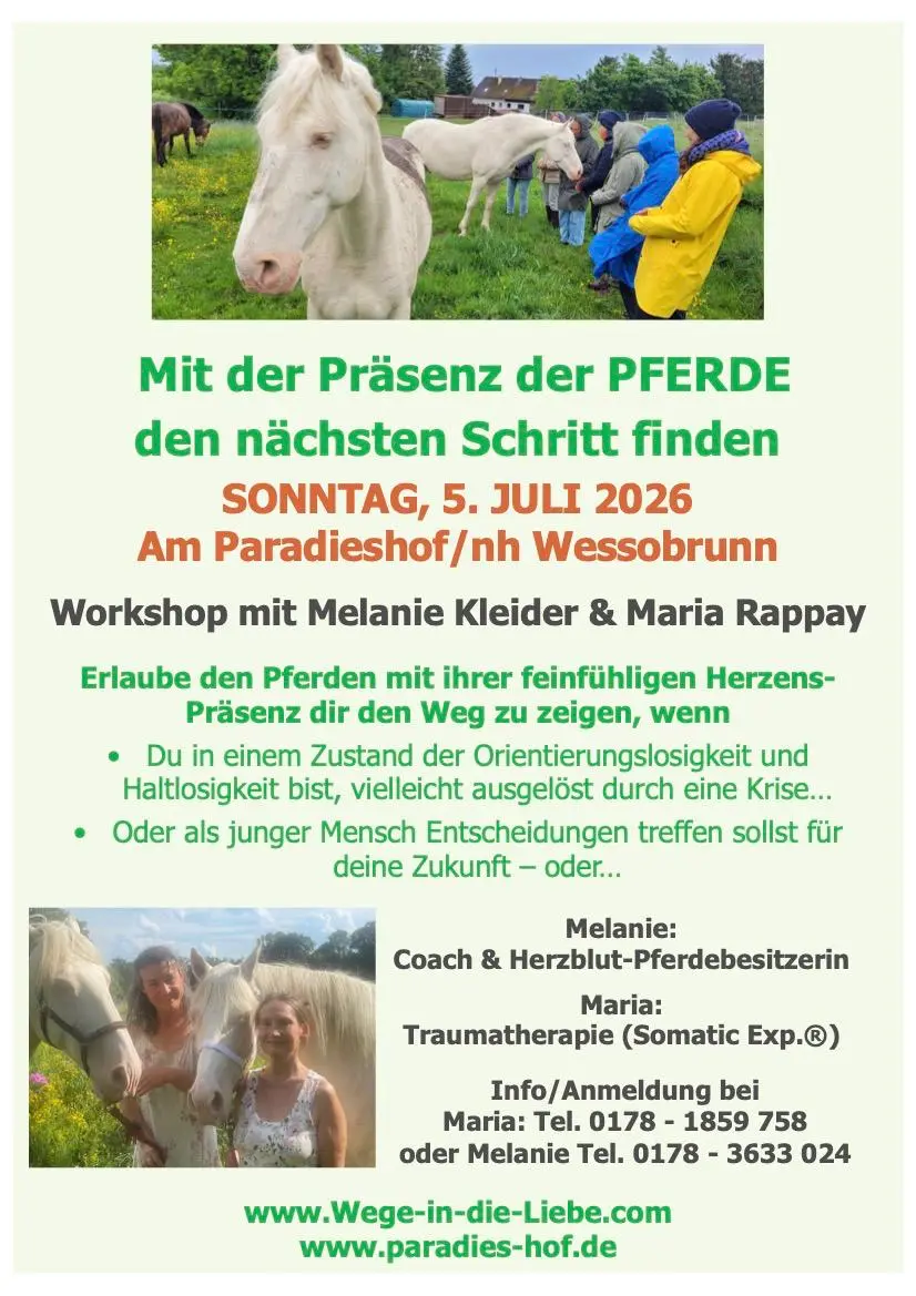 Suchst du den für dich nächsten, stimmigen Schritt?