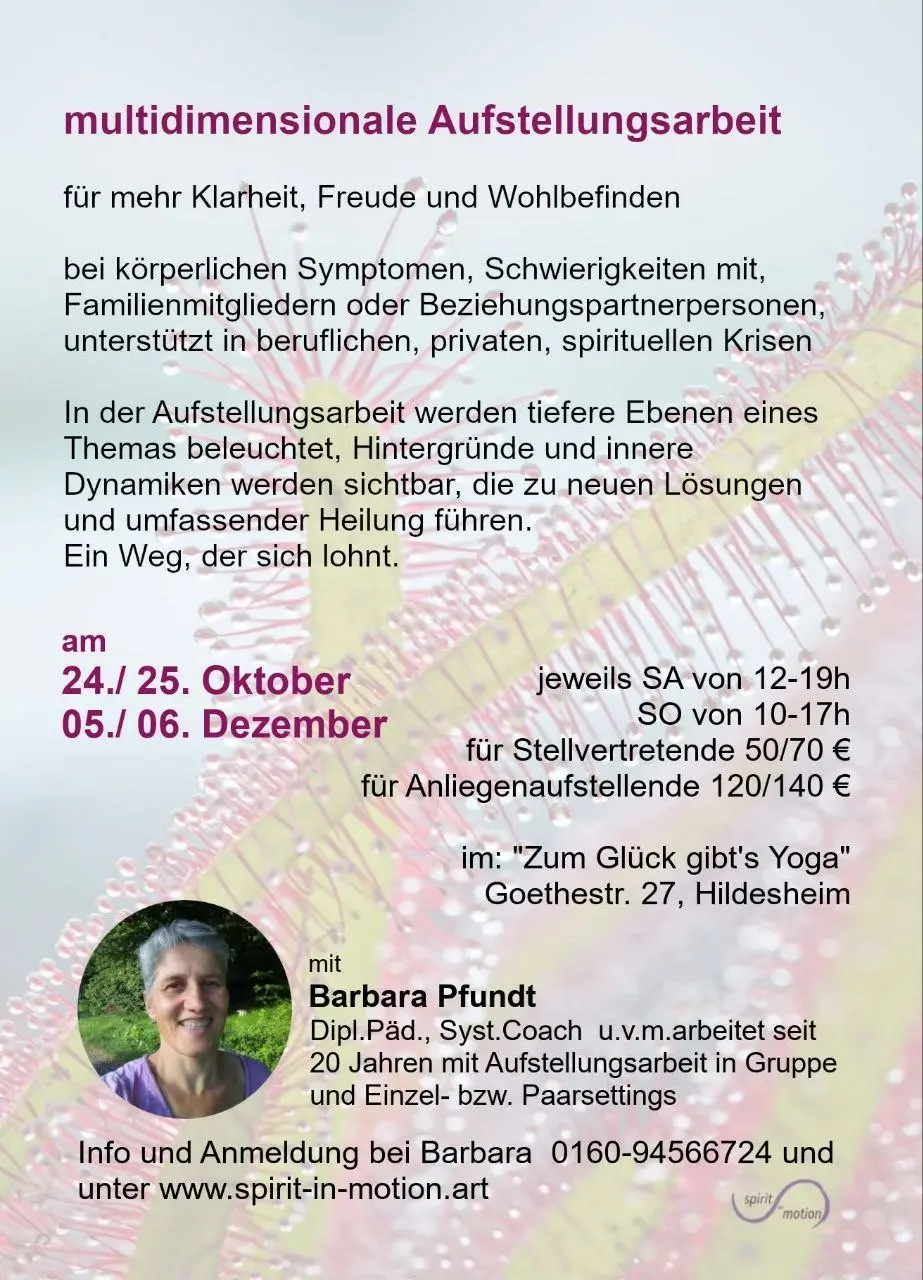 Multidimensionale Aufstellungsarbeit in Hildesheim, dein Weg zu mehr Freude und Leichtigkeit