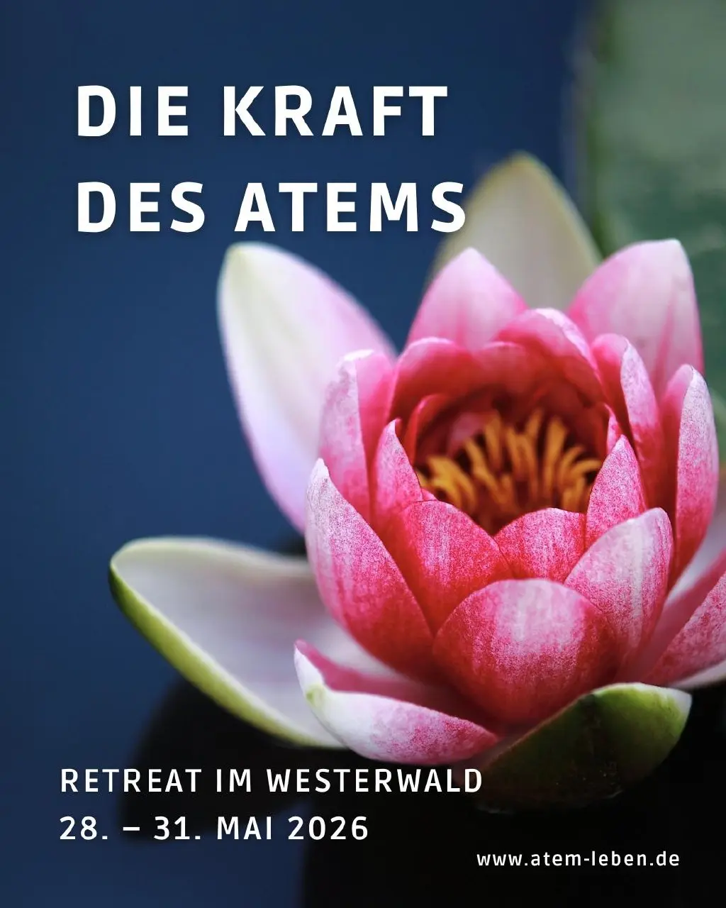 ⭐️ Die Kraft des Atems