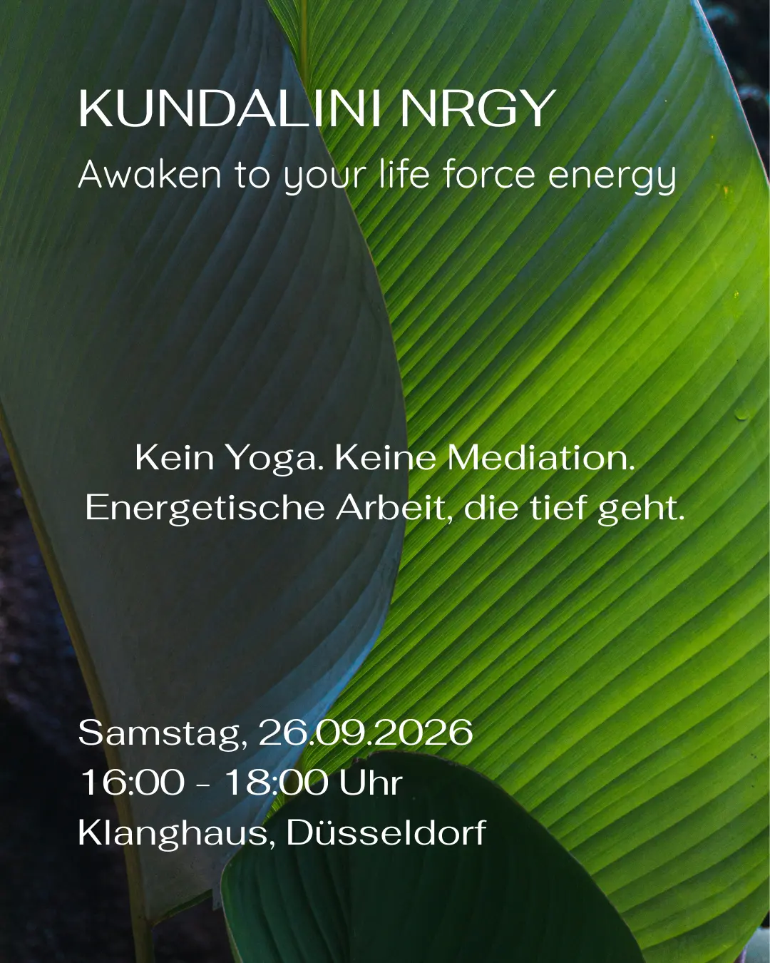 Kundalini NRGY - Awaken to your life force energy